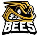 Bracknell Bees ice hockey team logo